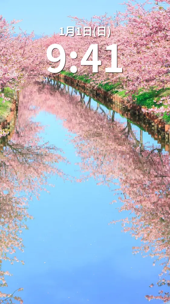 無料スマホ壁紙 絶景リフレクション。AndroidとiPhoneに対応した4K高画質の無料待ち受け画像。三重県松阪市の笠松河津桜ロードで撮影したフリー写真素材