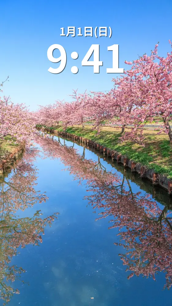 無料スマホ壁紙 春の空。AndroidとiPhoneに対応した4K高画質の無料待ち受け画像。三重県松阪市の笠松河津桜ロードで撮影したフリー写真素材