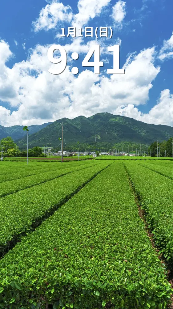 無料スマホ壁紙 【水沢茶】鈴鹿山脈と青空。AndroidとiPhoneに対応した4K高画質の無料待ち受け画像。三重県三重グルメの伊勢茶で撮影したフリー写真素材