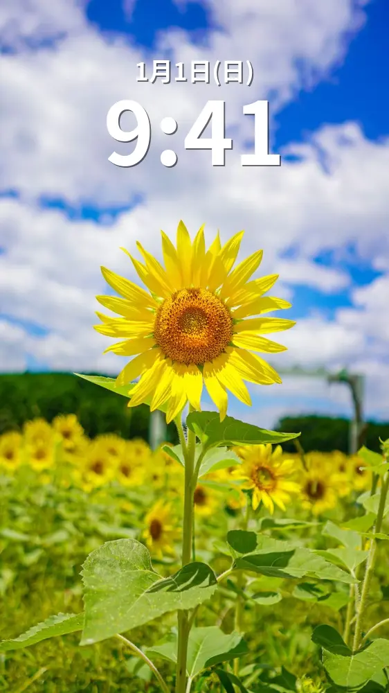 無料スマホ壁紙 こんにちわ。AndroidとiPhoneに対応した4K高画質の無料待ち受け画像。三重県玉城町のアスピア玉城で撮影したフリー写真素材