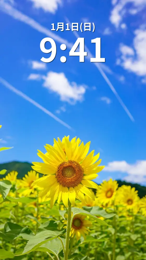 無料スマホ壁紙 一輪のひまわりと飛行機雲。AndroidとiPhoneに対応した4K高画質の無料待ち受け画像。三重県玉城町のアスピア玉城で撮影したフリー写真素材