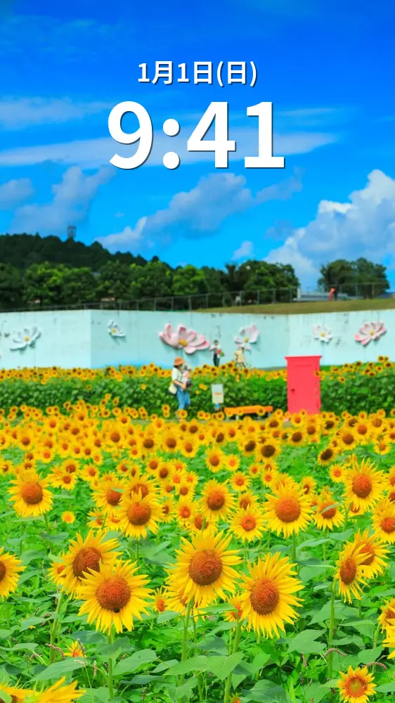 無料スマホ壁紙 人を呼ぶどこでもドア。AndroidとiPhoneに対応した4K高画質の無料待ち受け画像。三重県津市のとことめの里 一志で撮影したフリー写真素材