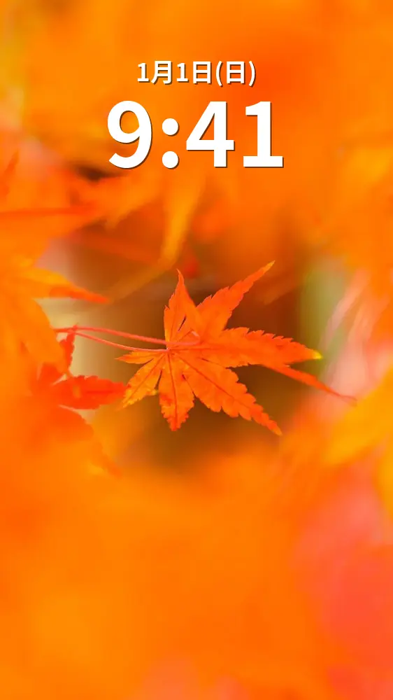 無料スマホ壁紙 真っ赤な紅葉。AndroidとiPhoneに対応した4K高画質の無料待ち受け画像。三重県四日市市の水沢もみじ谷で撮影したフリー写真素材