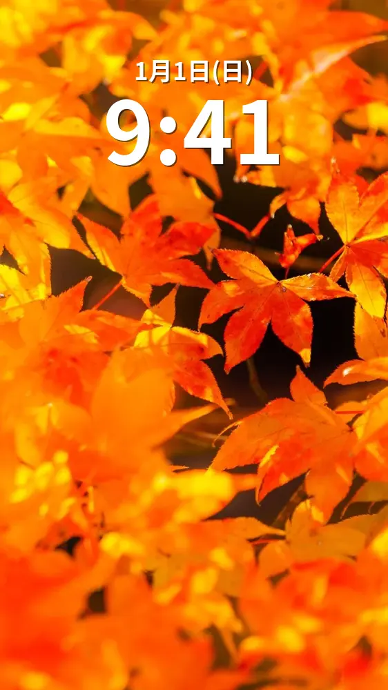 無料スマホ壁紙 輝く紅葉。AndroidとiPhoneに対応した4K高画質の無料待ち受け画像。三重県四日市市の水沢もみじ谷で撮影したフリー写真素材