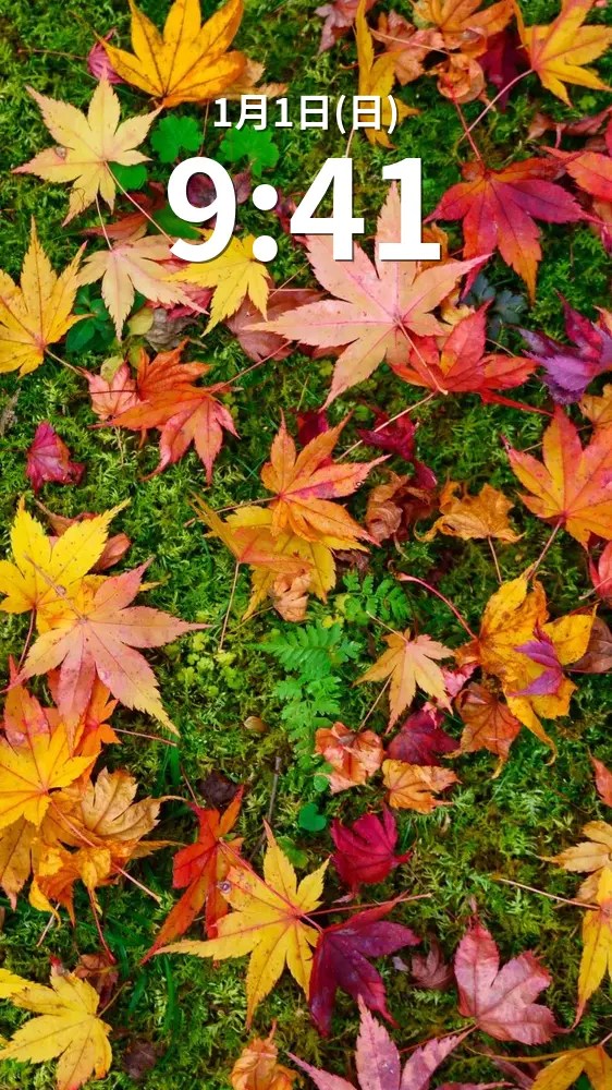 無料スマホ壁紙 紅葉と苔のじゅうたん。AndroidとiPhoneに対応した4K高画質の無料待ち受け画像。三重県津市の北畠神社で撮影したフリー写真素材