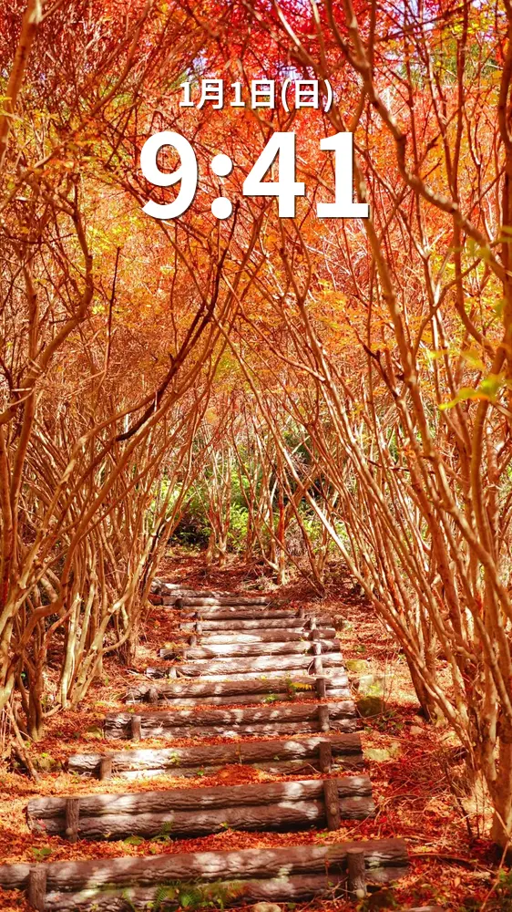 無料スマホ壁紙 ドウダンツツジのトンネルにある階段。AndroidとiPhoneに対応した4K高画質の無料待ち受け画像。三重県大台町の丸山公園のドウダンツツジで撮影したフリー写真素材