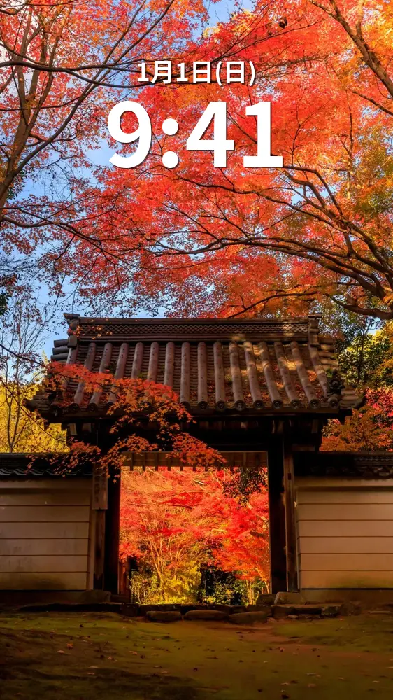 無料スマホ壁紙 山門と紅葉と青空。AndroidとiPhoneに対応した4K高画質の無料待ち受け画像。三重県津市の円光寺で撮影したフリー写真素材