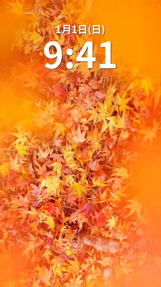 無料スマホ壁紙 彩り豊かな紅葉じゅうたん。AndroidとiPhoneに対応した4K高画質の無料待ち受け画像。三重県津市の円光寺で撮影したフリー写真素材