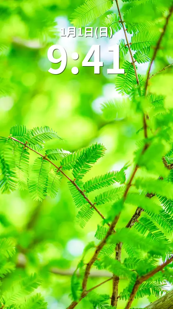 無料スマホ壁紙 青葉。AndroidとiPhoneに対応した4K高画質の無料待ち受け画像。三重県鈴鹿市の石垣池公園で撮影したフリー写真素材