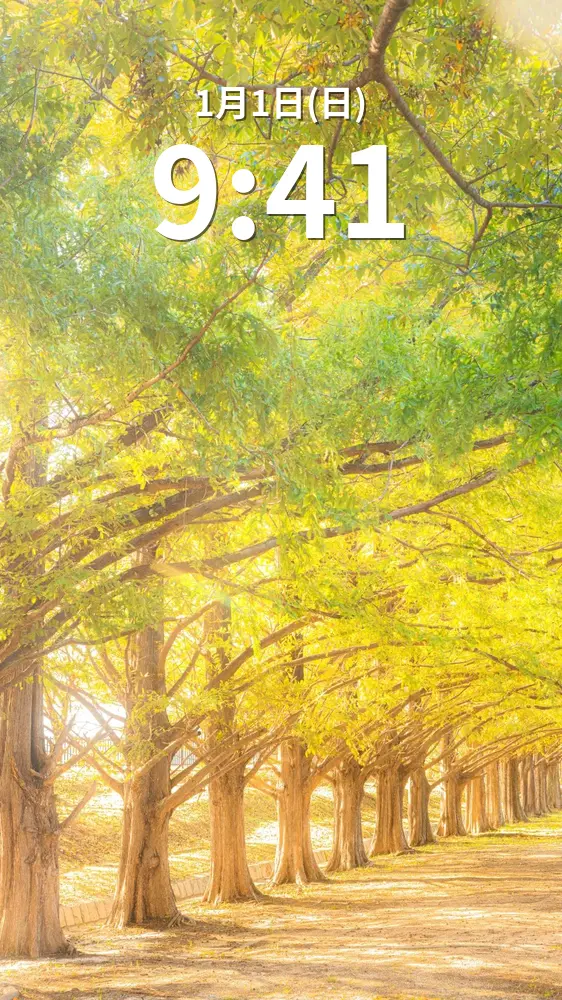 無料スマホ壁紙 黄葉のメタセコイア並木。AndroidとiPhoneに対応した4K高画質の無料待ち受け画像。三重県鈴鹿市の石垣池公園で撮影したフリー写真素材