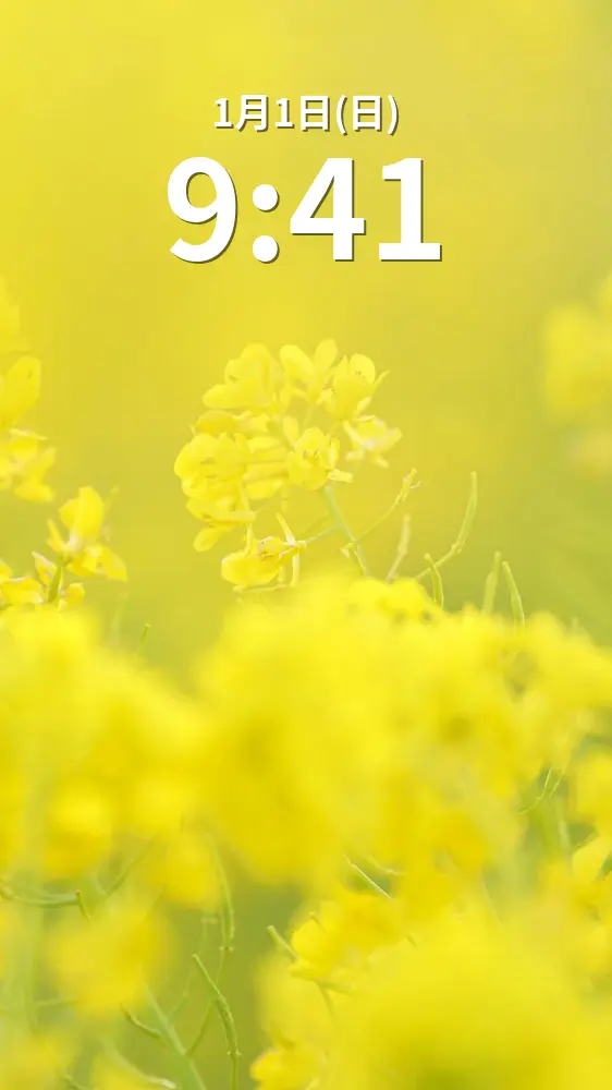 無料スマホ壁紙 幸せを呼ぶ菜の花。AndroidとiPhoneに対応した4K高画質の無料待ち受け画像。三重県明和町の斎宮の菜の花畑で撮影したフリー写真素材