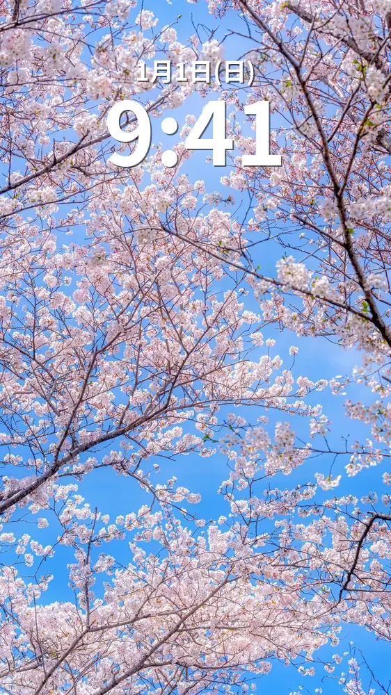 無料スマホ壁紙 青空と桜の花びら。AndroidとiPhoneに対応した4K高画質の無料待ち受け画像。三重県津市の北神山花街道で撮影したフリー写真素材