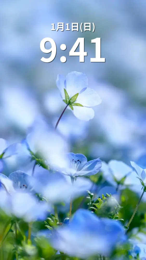 無料スマホ壁紙 青い宝石のようなネモフィラ。AndroidとiPhoneに対応した4K高画質の無料待ち受け画像。三重県志摩市の志摩市観光農園で撮影したフリー写真素材