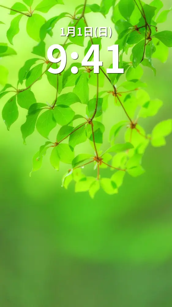 無料スマホ壁紙 新緑のドウダンツツジ。AndroidとiPhoneに対応した4K高画質の無料待ち受け画像。三重県大台町の丸山公園のドウダンツツジで撮影したフリー写真素材