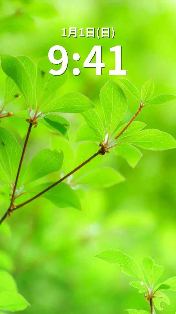 無料スマホ壁紙 新芽のドウダンツツジ。AndroidとiPhoneに対応した4K高画質の無料待ち受け画像。三重県大台町の真手公園で撮影したフリー写真素材