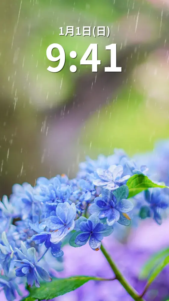 無料スマホ壁紙 青色のおかめ紫陽花と雨粒。AndroidとiPhoneに対応した4K高画質の無料待ち受け画像。三重県志摩市の大慈寺で撮影したフリー写真素材