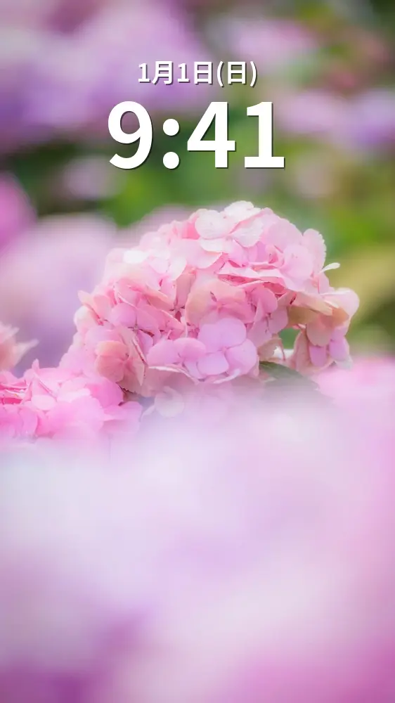 無料スマホ壁紙 シャビーシックなピンク紫陽花。AndroidとiPhoneに対応した4K高画質の無料待ち受け画像。三重県津市のかざはやの里で撮影したフリー写真素材