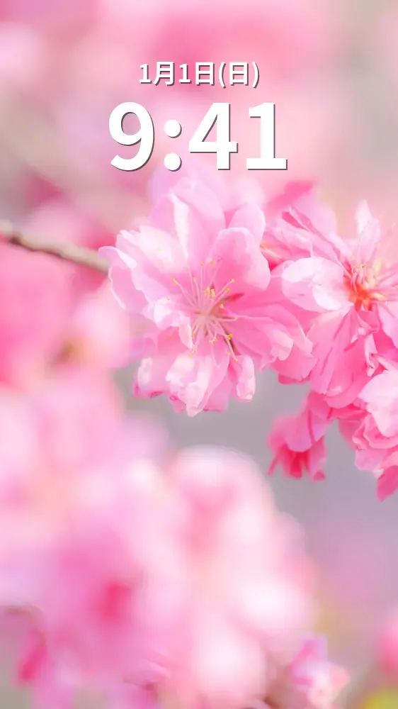 無料スマホ壁紙 ピンク色の可憐な花桃。AndroidとiPhoneに対応した4K高画質の無料待ち受け画像。三重県伊勢市の三重県営サンアリーナ 花の広場で撮影したフリー写真素材