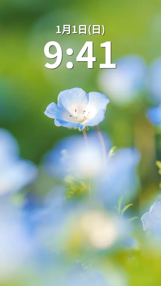 無料スマホ壁紙 ネモフィラと若草の共演。AndroidとiPhoneに対応した4K高画質の無料待ち受け画像。三重県伊勢市の三重県営サンアリーナ 花の広場で撮影したフリー写真素材