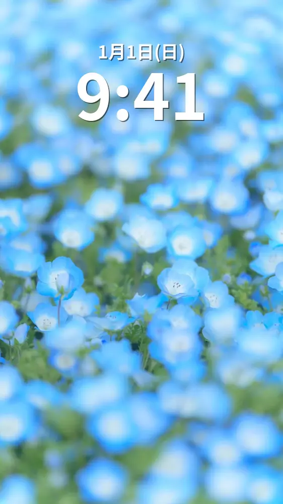 無料スマホ壁紙 ふわっと優しいネモフィラ。AndroidとiPhoneに対応した4K高画質の無料待ち受け画像。三重県志摩市の志摩市観光農園で撮影したフリー写真素材