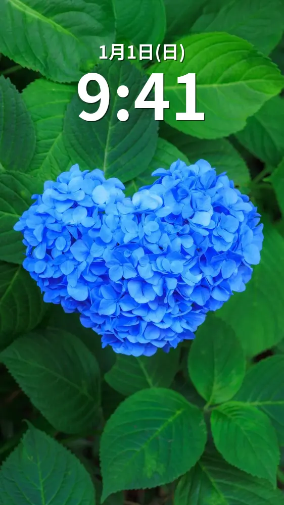 無料スマホ壁紙 ハートの青い紫陽花。AndroidとiPhoneに対応した4K高画質の無料待ち受け画像。三重県津市のかざはやの里で撮影したフリー写真素材