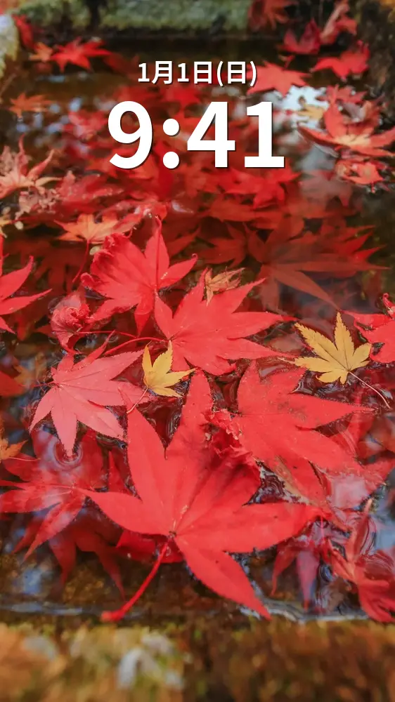 無料スマホ壁紙 真っ赤な紅葉の手水鉢。AndroidとiPhoneに対応した4K高画質の無料待ち受け画像。三重県松阪市の天開山泰運寺で撮影したフリー写真素材