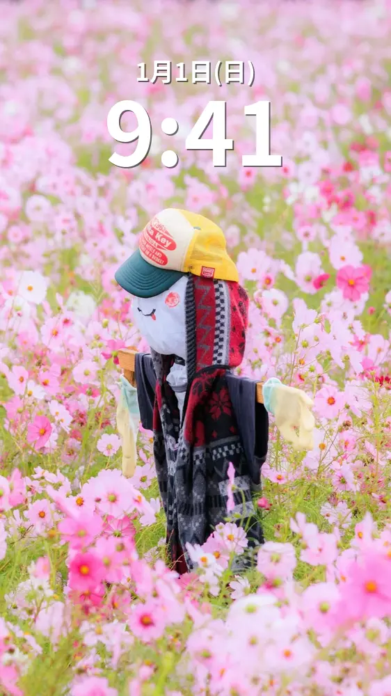 無料スマホ壁紙 コスモスに囲まれる笑顔のカカシ。AndroidとiPhoneに対応した4K高画質の無料待ち受け画像。三重県松阪市の笠松町のコスモス畑で撮影したフリー写真素材