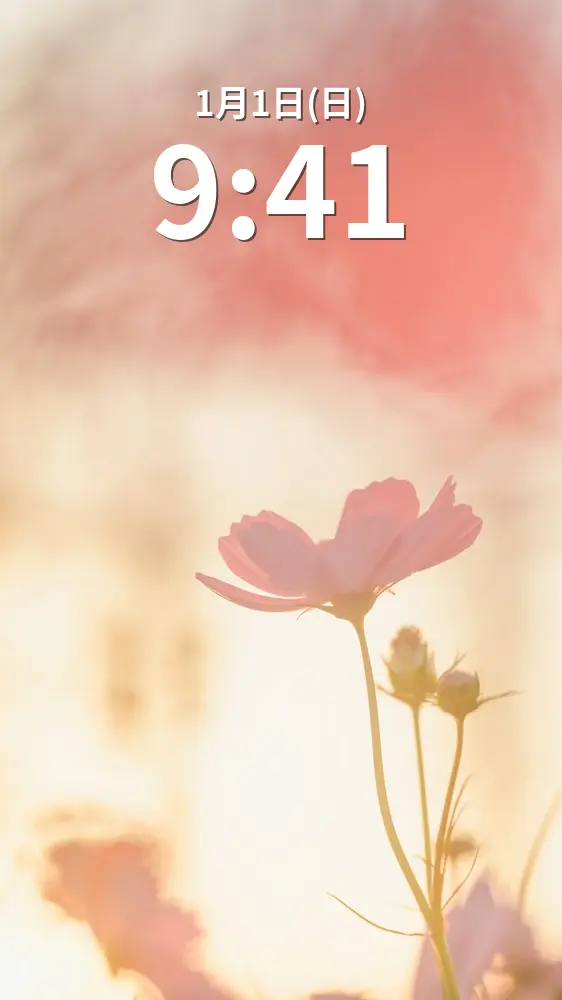 無料スマホ壁紙 黄昏に揺れるコスモス。AndroidとiPhoneに対応した4K高画質の無料待ち受け画像。三重県津市のかざはやの里で撮影したフリー写真素材