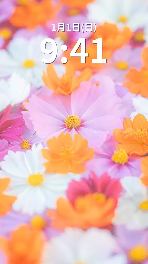 無料スマホ壁紙 メルヘンチックなコスモス花手水。AndroidとiPhoneに対応した4K高画質の無料待ち受け画像。三重県津市のかざはやの里で撮影したフリー写真素材