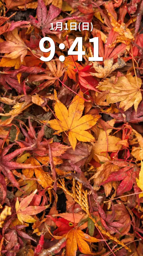 無料スマホ壁紙 紅葉でいっぱい。AndroidとiPhoneに対応した4K高画質の無料待ち受け画像。三重県四日市市の水沢もみじ谷で撮影したフリー写真素材