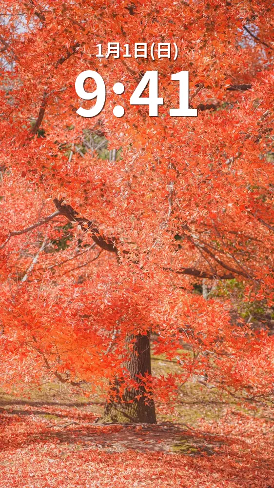 無料スマホ壁紙 25mの真っ赤なクリスマスツリー。AndroidとiPhoneに対応した4K高画質の無料待ち受け画像。三重県菰野町の三重県民の森で撮影したフリー写真素材