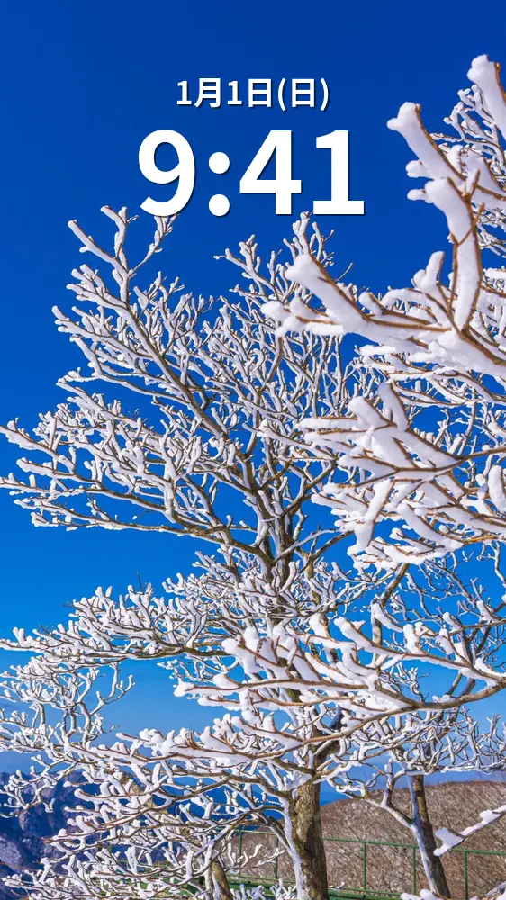 無料スマホ壁紙 青空と樹氷（縦サイズ）。AndroidとiPhoneに対応した4K高画質の無料待ち受け画像。三重県菰野町の御在所ロープウエイで撮影したフリー写真素材