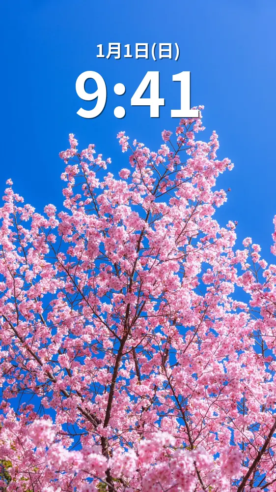 運気が上がる待ち受け 真っ青な空とピンクの河津桜。AndroidとiPhoneに対応した4K高画質の無料スマホ壁紙。三重県尾鷲市の尾鷲神社で撮影したフリー写真素材