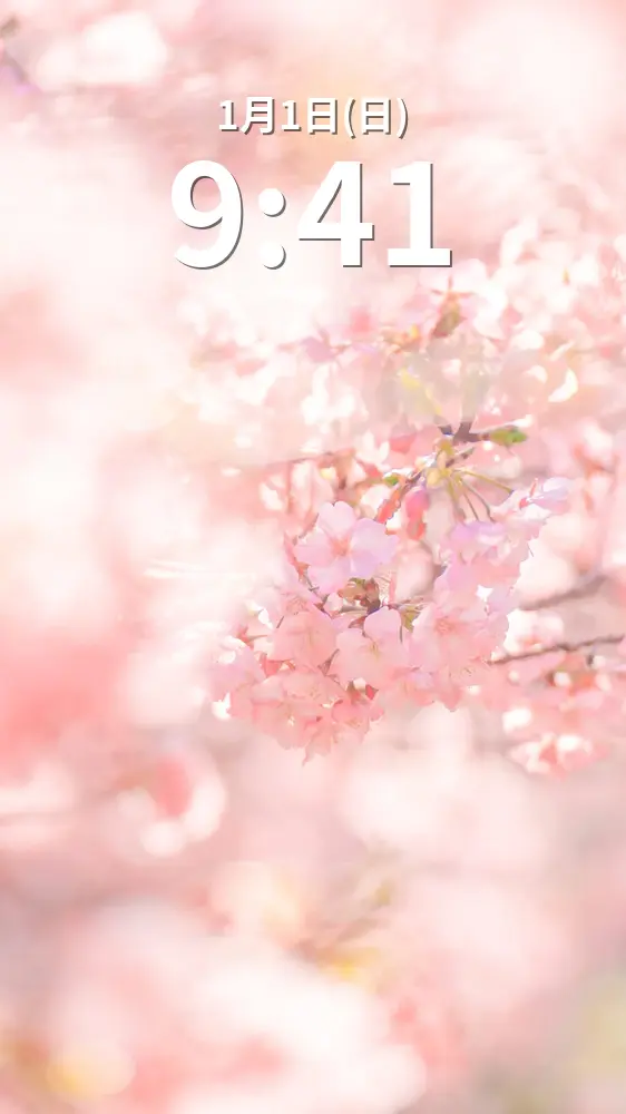 運気が上がる待ち受け 河津桜に包まれる世界。AndroidとiPhoneに対応した4K高画質の無料スマホ壁紙。三重県志摩市の大慈寺で撮影したフリー写真素材