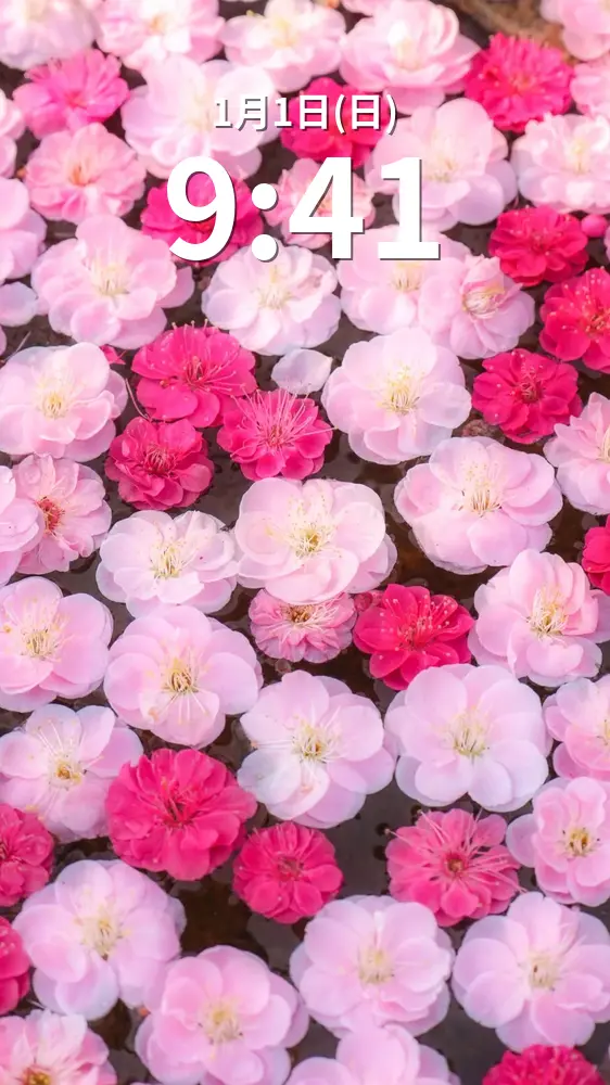 運気が上がる待ち受け ピンクと赤の梅花手水。AndroidとiPhoneに対応した4K高画質の無料スマホ壁紙。三重県津市のかざはやの里で撮影したフリー写真素材