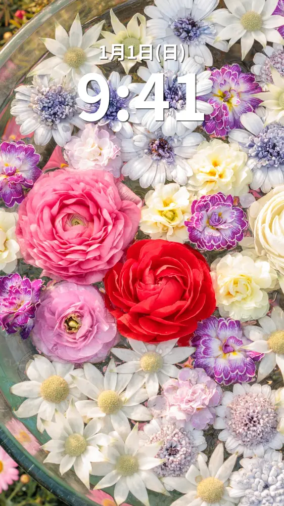 無料スマホ壁紙 おしゃれなバラの花手水。AndroidとiPhoneに対応した4K高画質の無料待ち受け画像。三重県鈴鹿市の鈴鹿の森庭園で撮影したフリー写真素材