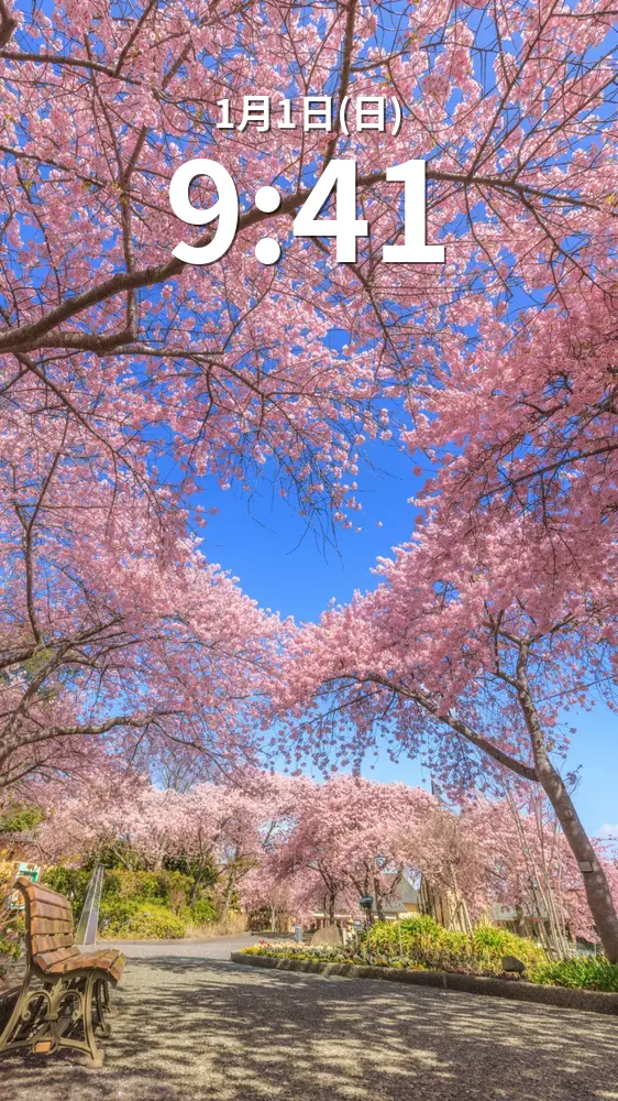 運気が上がる待ち受け 真っ青なハートが浮かぶ河津桜。AndroidとiPhoneに対応した4K高画質の無料スマホ壁紙。三重県桑名市のなばなの里で撮影したフリー写真素材