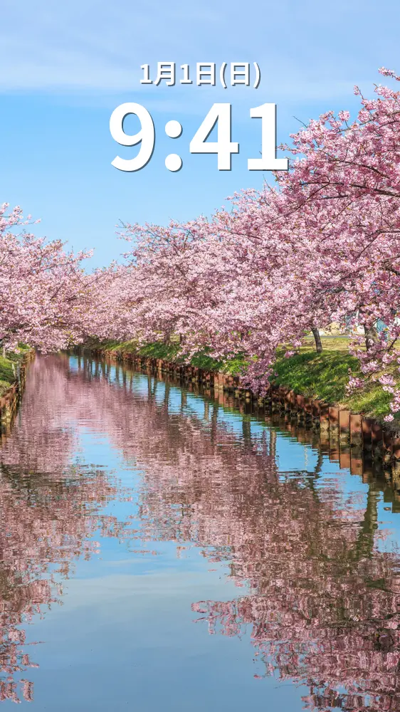 無料スマホ壁紙 青空と河津桜のリフレクション。AndroidとiPhoneに対応した4K高画質の無料待ち受け画像。三重県松阪市の笠松河津桜ロードで撮影したフリー写真素材