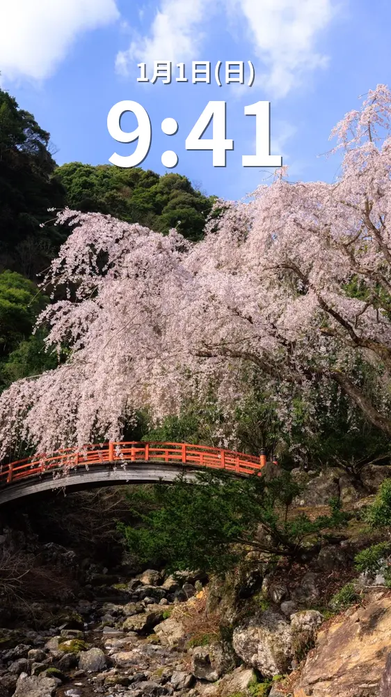 無料スマホ壁紙 赤い橋と１本桜。AndroidとiPhoneに対応した4K高画質の無料待ち受け画像。三重県大紀町の笠木渓谷で撮影したフリー写真素材