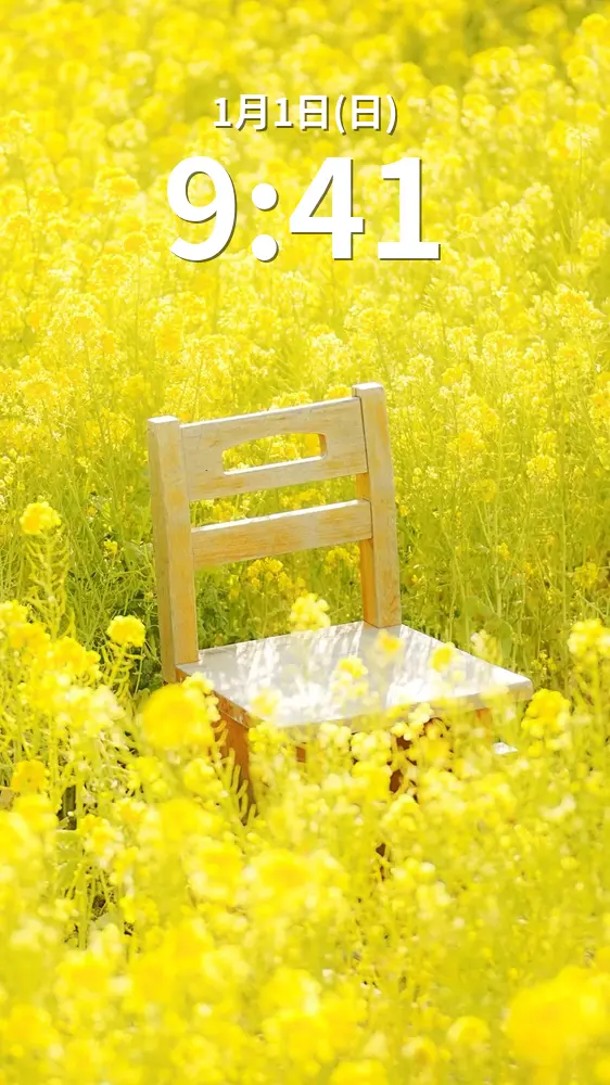 無料スマホ壁紙 菜の花に囲まれる木製ベンチ。AndroidとiPhoneに対応した4K高画質の無料待ち受け画像。三重県玉城町のアスピア玉城で撮影したフリー写真素材