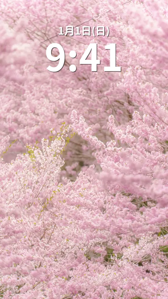 無料スマホ壁紙 淡いピンク色のエドヒガン桜。AndroidとiPhoneに対応した4K高画質の無料待ち受け画像。三重県松阪市の春谷寺で撮影したフリー写真素材