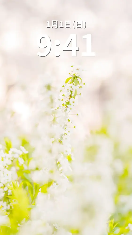 無料スマホ壁紙 夕暮れの雪柳。AndroidとiPhoneに対応した4K高画質の無料待ち受け画像。三重県鈴鹿市の石垣池公園で撮影したフリー写真素材