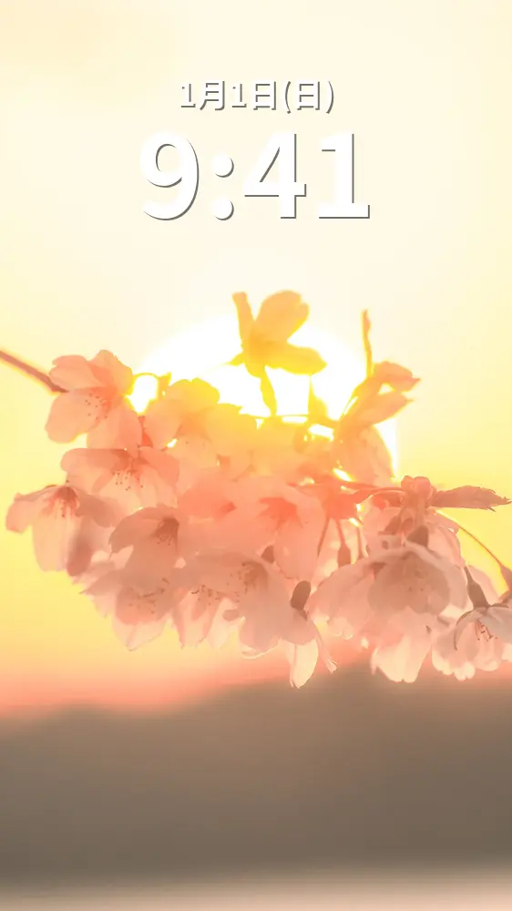 無料スマホ壁紙 夕陽と桜。AndroidとiPhoneに対応した4K高画質の無料待ち受け画像。三重県鈴鹿市の石垣池公園で撮影したフリー写真素材