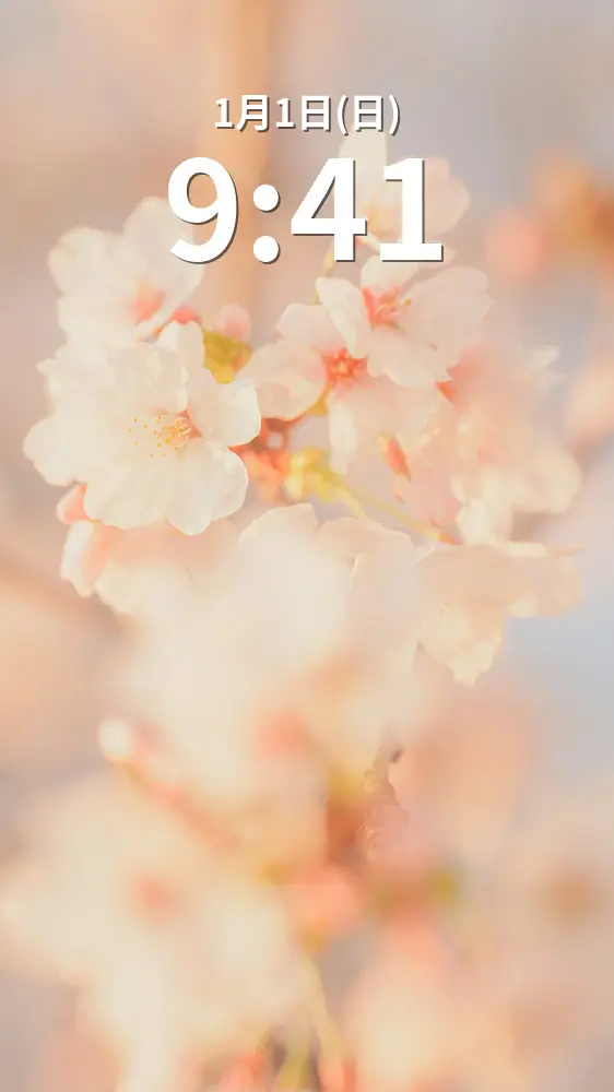 無料スマホ壁紙 西陽で輝く桜。AndroidとiPhoneに対応した4K高画質の無料待ち受け画像。三重県鈴鹿市の石垣池公園で撮影したフリー写真素材