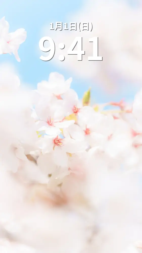 無料スマホ壁紙 春の青空と桜。AndroidとiPhoneに対応した4K高画質の無料待ち受け画像。三重県鈴鹿市の石垣池公園で撮影したフリー写真素材