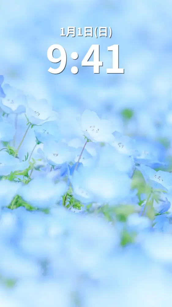 運気が上がる待ち受け 淡い青のネモフィラ待ち受け。AndroidとiPhoneに対応した4K高画質の無料スマホ壁紙。三重県津市のかざはやの里で撮影したフリー写真素材