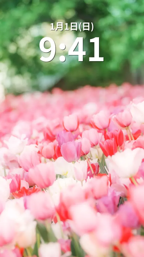 運気が上がる待ち受け メルヘンチックな世界のチューリップ。AndroidとiPhoneに対応した4K高画質の無料スマホ壁紙。三重県桑名市のなばなの里で撮影したフリー写真素材