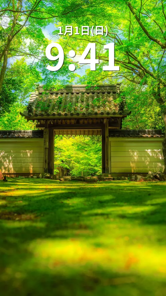 無料スマホ壁紙 青葉に包まれる新緑の絶景。AndroidとiPhoneに対応した4K高画質の無料待ち受け画像。三重県津市の円光寺で撮影したフリー写真素材