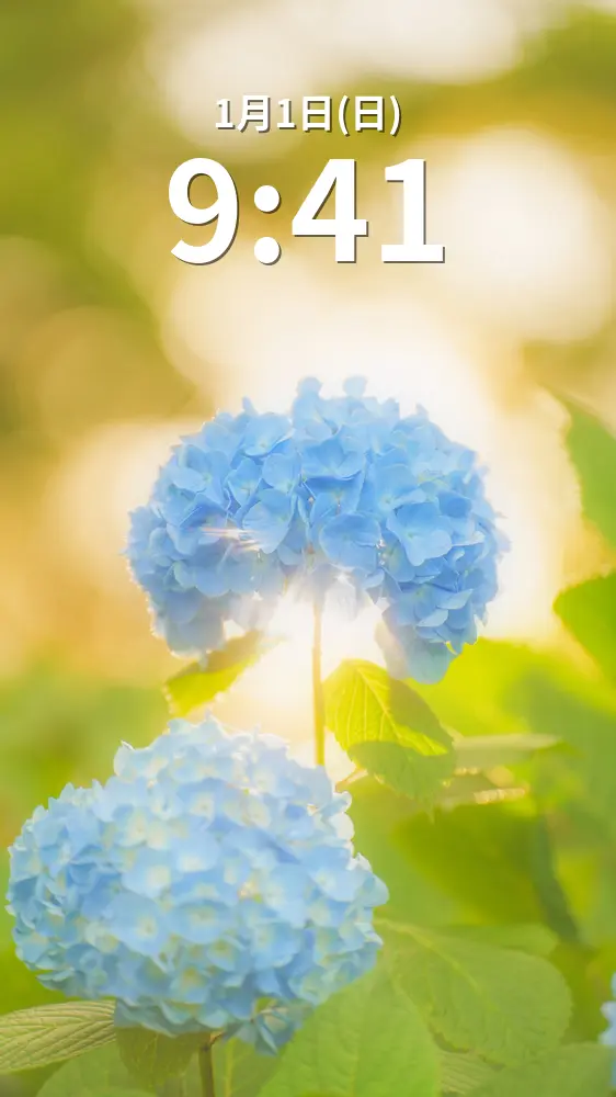 運気が上がる待ち受け 光をまとう紫陽花。AndroidとiPhoneに対応した4K高画質の無料スマホ壁紙。三重県津市のかざはやの里で撮影したフリー写真素材