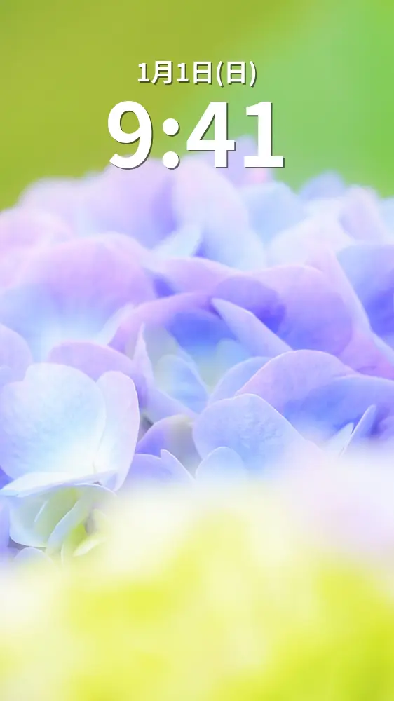 無料スマホ壁紙 ふわふわと可愛い紫色の紫陽花。AndroidとiPhoneに対応した4K高画質の無料待ち受け画像。三重県度会町の宮リバー度会パークで撮影したフリー写真素材